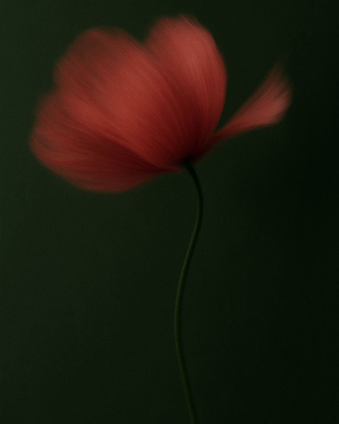 Abstract Nature